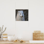 Poster Portraits arctiques (Cuisine)