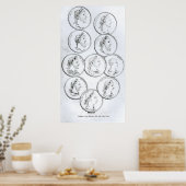 Poster Portraits d'empereurs romains (Cuisine)