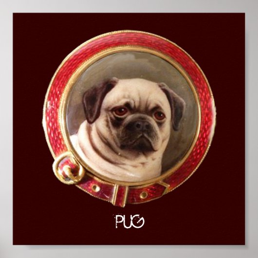 Poster PORTRAITS MINIATURES DE CHIENS VICTORIENS Pug (Devant)