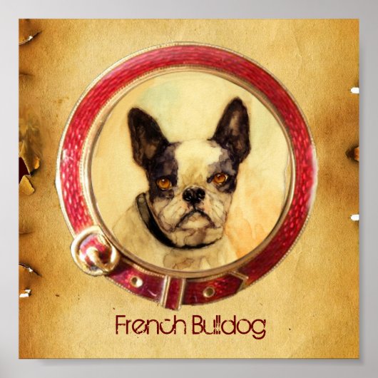 Poster PORTRAITS MINIATURES VICTORIENS Bouledogue Françai (Devant)