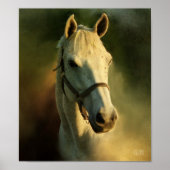 Poster portriat (Devant)