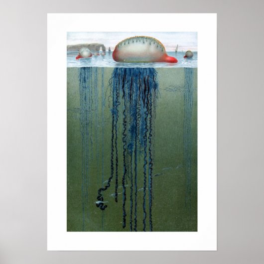 Poster Portugais de la guerre (Devant)