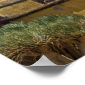 Poster Portugal, Madère, Funchal. Historique (Coin)