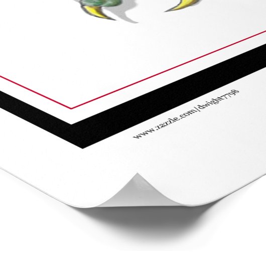 Poster Pos-de-Dragon King (Coin)