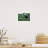 Poster "Pose à une jambe", Coq (Cuisine)