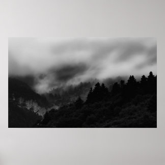 Poster Pose au-dessus de la forêt