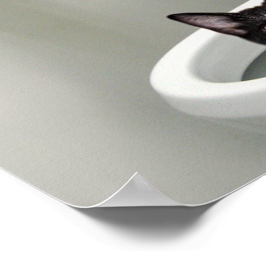 Poster Pose le couvercle (Coin)