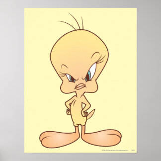Poster Pose Tweety Blush 10