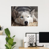 Poster Poser Husky Sled Dog Beau Art Imprimer (Bureau à domicile)