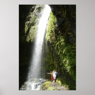 Poster Poser vos dragons