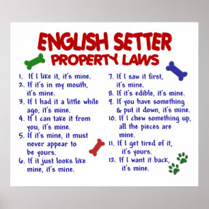 POSTER POSEUR ANGLAIS PL2