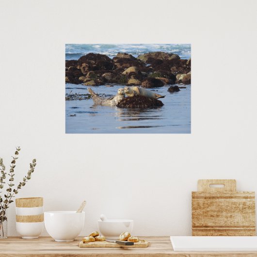 Poster Poseurs de phoques de port (Cuisine)