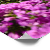 Poster Positano (Coin)