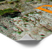 Poster positano italia (Coin)