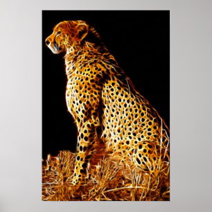 Poster Position de Cheetahs