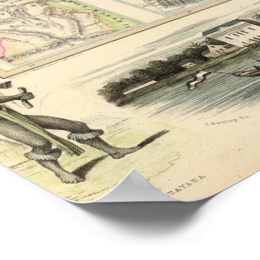 Poster Possessions néerlandaises (Coin)