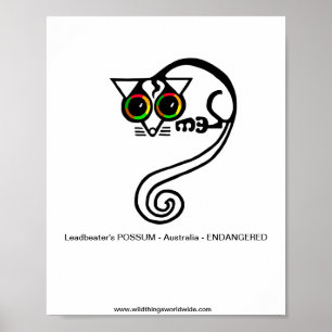 Poster Possum -