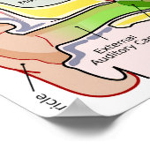 Poster Post du diagramme de cartographie de fréquence Coc (Coin)