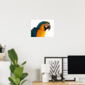 Poster Post-it Notes perroquet (Bureau à domicile)