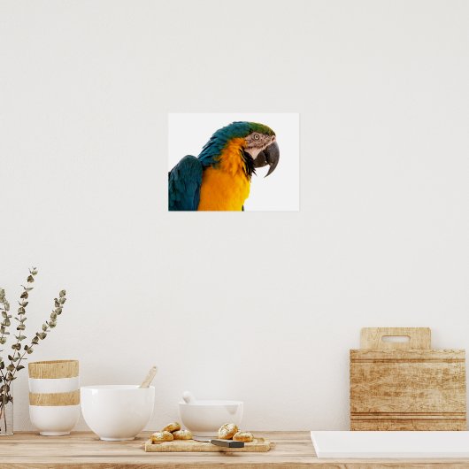 Poster Post-it Notes perroquet (Cuisine)