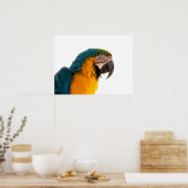 Poster Post-it Notes perroquet (Cuisine)