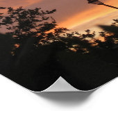 Poster Poste d'ampoule et oiseaux (Coin)