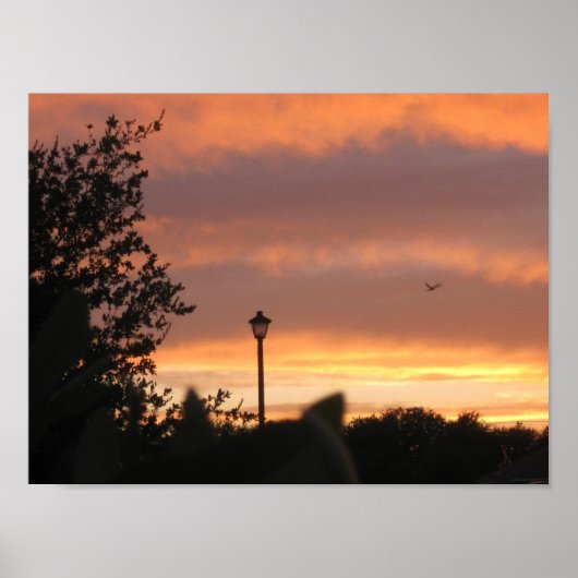 Poster Poste d'ampoule et oiseaux (Devant)