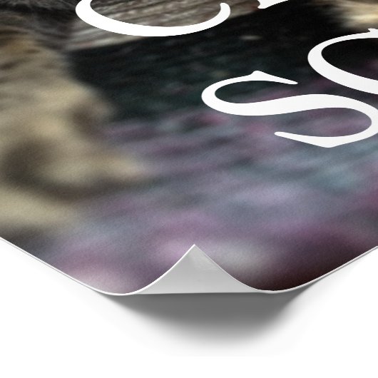 POSTER POSTE D'ANALYSE CAT (Coin)