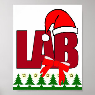 POSTER POSTE DE LABORATOIRE DE NOËL PÈRE NOËL