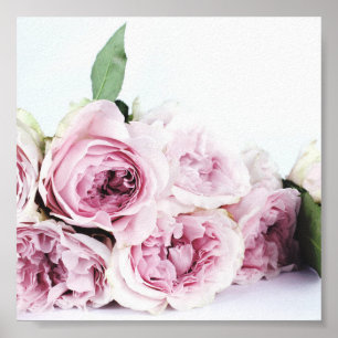 POSTER POSTE PHOTOGRAPHIQUE PINK PEONIES