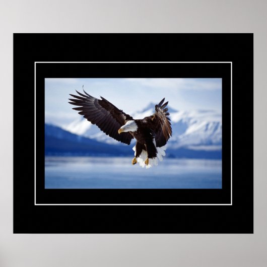Poster Poster-Aigle (Devant)