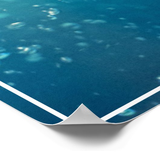 Poster Poster-Aigle (Coin)