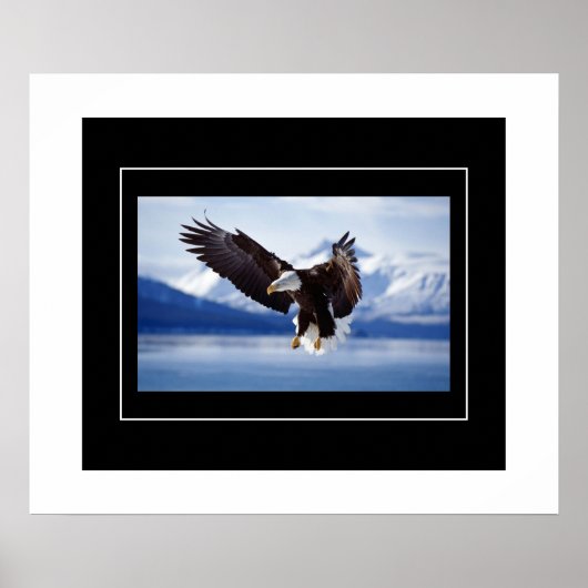 Poster Poster-Aigle (Devant)
