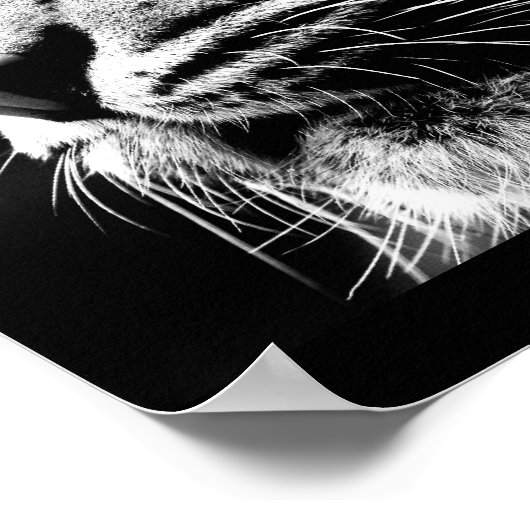 Poster Poster-Animaux-40 (Coin)