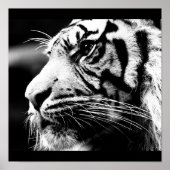 Poster Poster-Animaux-40 (Devant)