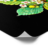 Poster Poster-Art-Botanique-Mary Delany 11 (Coin)