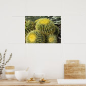Poster Poster—Barrel Cactus (Cuisine)