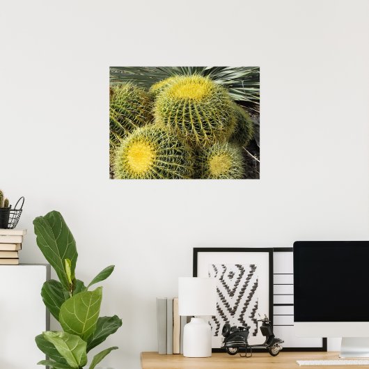Poster Poster—Barrel Cactus (Bureau à domicile)