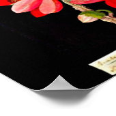 Poster Poster-Botanique Art-Mary Delany 10 (Coin)