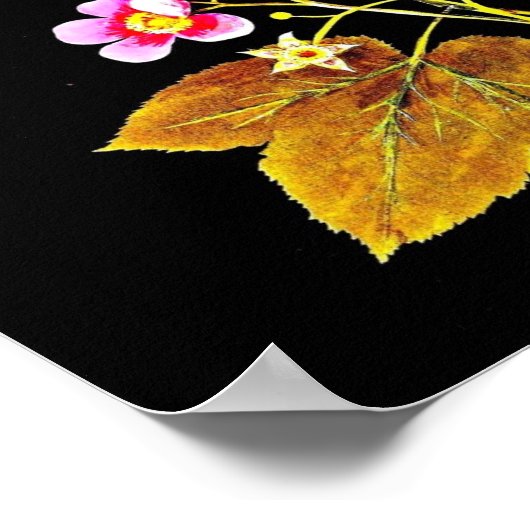 Poster Poster-Botanique Art-Mary Delany 4 (Coin)