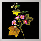 Poster Poster-Botanique Art-Mary Delany 4 (Devant)