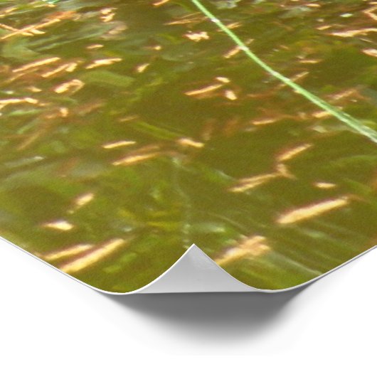 Poster Poster, cascade et sirène (Coin)