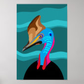 Poster Póster casuario (Devant)