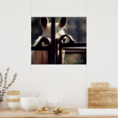 Poster Poster, Changement de perspective, Cheval, Ferme, (Cuisine)