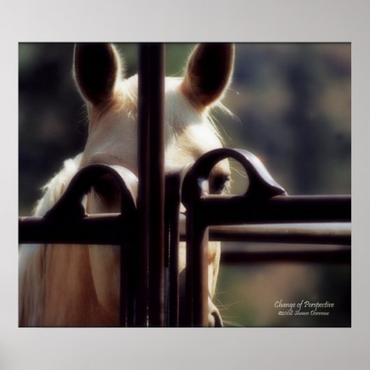 Poster Poster, Changement de perspective, Cheval, Ferme, (Devant)