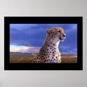Poster Poster-Cheetah