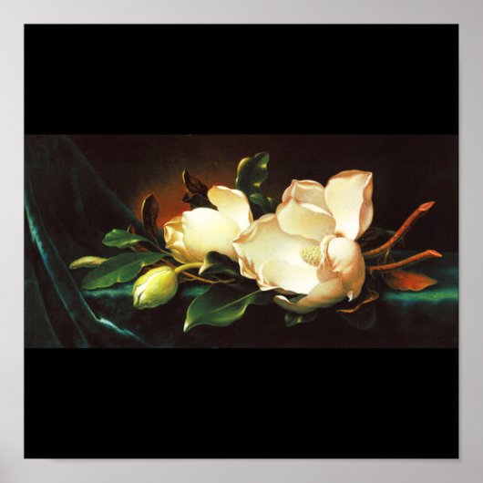 Poster Poster-Classic/Vintage-Martin Johnson Heade 24 (Devant)
