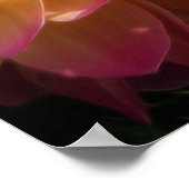 Poster Poster-Dahlias (Coin)