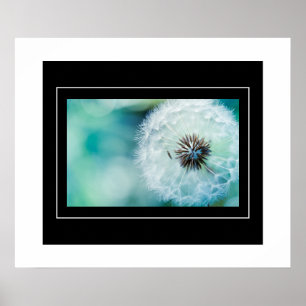 Poster Poster-Dandelion