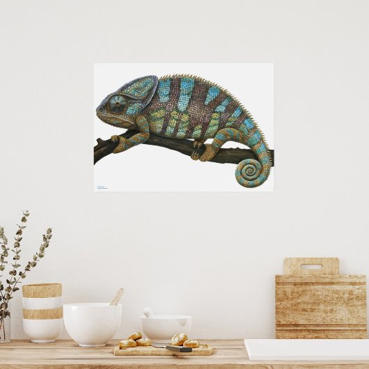 Poster Póster de Camaleón (Cuisine)